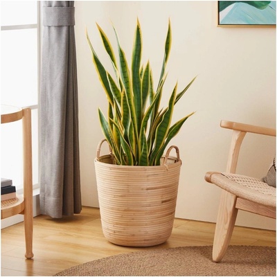 Eglo 426513 Dekoračný kôš NARAHA 41x36 cm ratan | EG426513