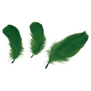 TITANUM Feathers fluff 16g dark green