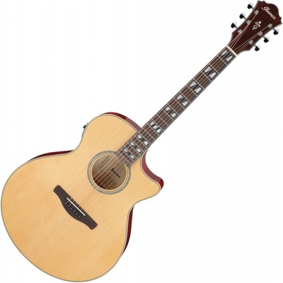 Ibanez AE170