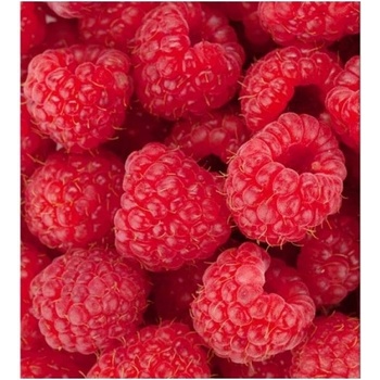 DIMEX ART s. r. o Флизелинов фототапет малини 225 x 250 см