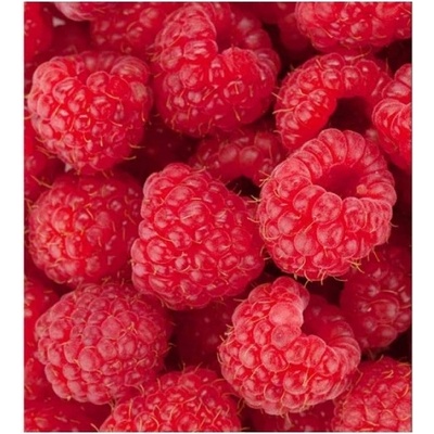 DIMEX ART Флизелинов фототапет малини 225 x 250 см