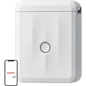 Niimbot D110M