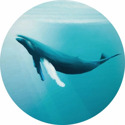 Komar Samolepicí vliesová fototapeta Dot Whale Watching pr. 125 cm