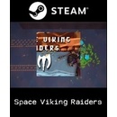 Space Viking Raiders