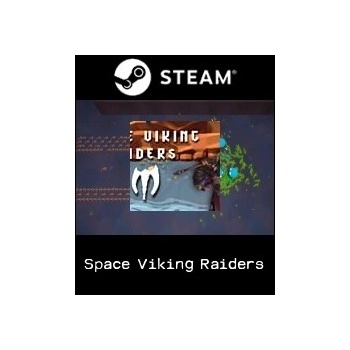 Space Viking Raiders