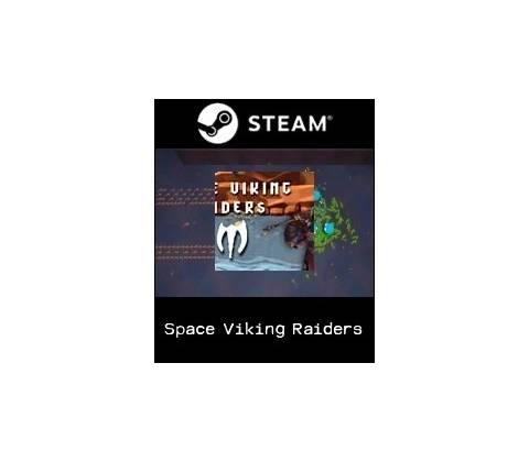 Space Viking Raiders