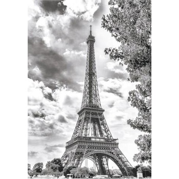 Image 1 of Dino - Puzzle Black and white Eiffel Tower, France - 500 piese