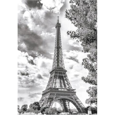 Dino - Puzzle Black and white Eiffel Tower, France - 500 piese