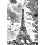 Dino - Puzzle Black and white Eiffel Tower, France - 500 piese