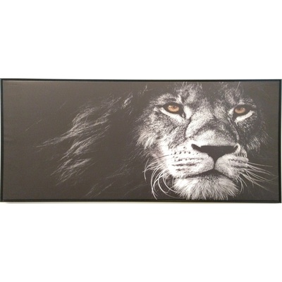 Bondecor Obraz na plátně v rámu černobílý "Lev" 134x59cm