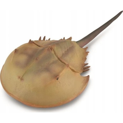 Collecta Horseshoe Crab XL