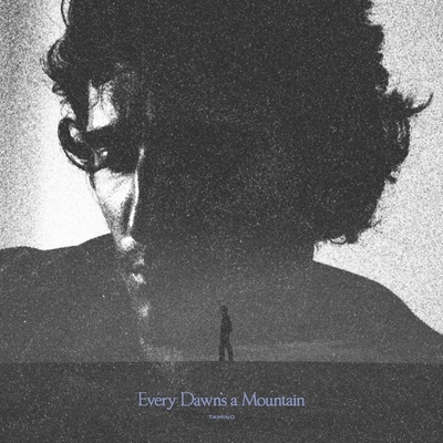 Tamino - Every Dawn's A Mountain (Limited Edition) (Black & Silver Marble Effect Coloured) LP