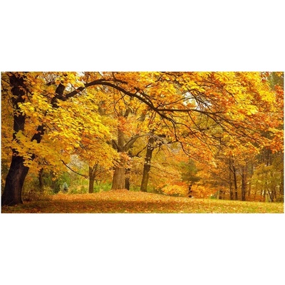 Foto obraz sklo tvrzené Jeseň v parku 100x50 cm