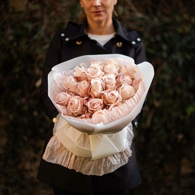 Růže Pomarosa 70cm s doručením v Brně