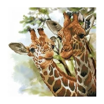 Comandante Diamond embroidery Diamond Dotz Giraffes 48x48cm DD8017