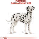 Royal Canin Dalmatin 12 kg