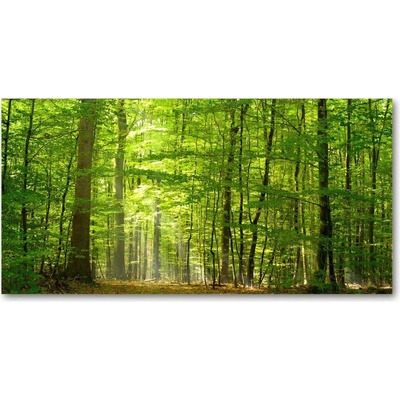 Foto obraz sklo tvrzené listnatý strom 100x50 cm