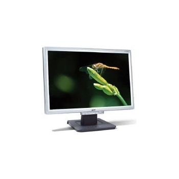 Acer AL1916W
