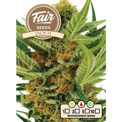 Fair Seeds Jack H semena neobsahují THC 10 ks