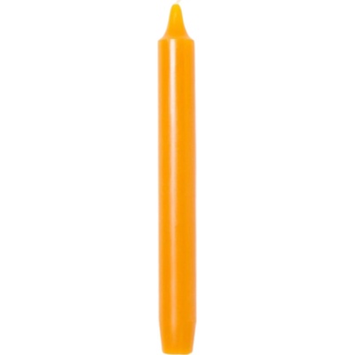 Trudon Madeleine 20 cm 6ks