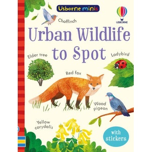 Urban Wildlife to Spot | KATE NOLAN (2023)