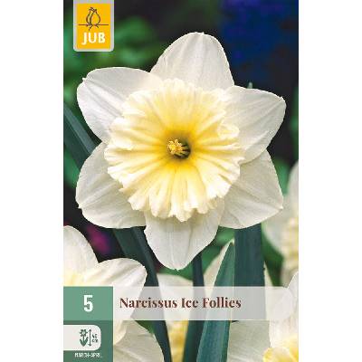 850262/7504 Narcisy Ice Follies 5ks