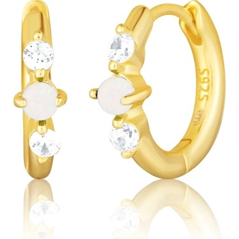JVD Pozlátené strieborné náušnice kruhy so zirkónmi a opálom SVLE3073XH2G100