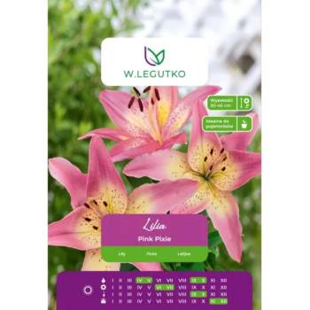 Image 1 of W. Legutko Розова пикси лилия, розова, 1 брой
