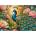 Cherry Pazzi - Puzzle Peacock´s Paradise - 1 000 piese