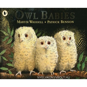 Owl Babies | Martin Waddell (ISBN: 9780744531671)