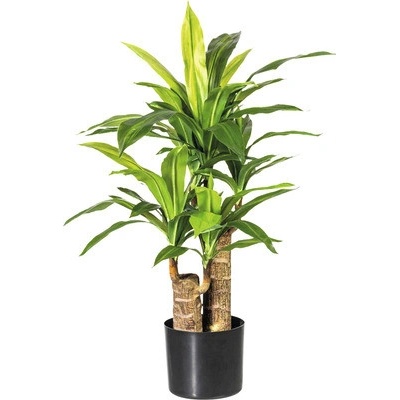 Umelá dracéna 2 kmienky 66 listov 80 cm zelená v čiernom plastovom kvetináči Ø 17 cm x 15 cm