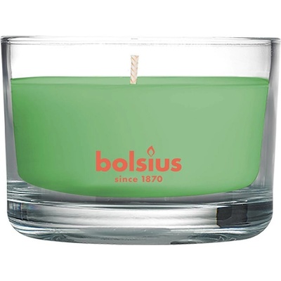 Bolsius green tea 50/80 mm