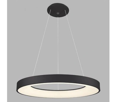 LED2 W1819