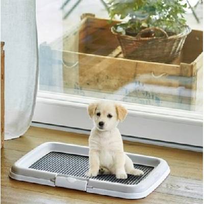 Тоалетна за куче - Stefanplast Puppy Toilet Training Set 60 x 40 x 4 cm 81990