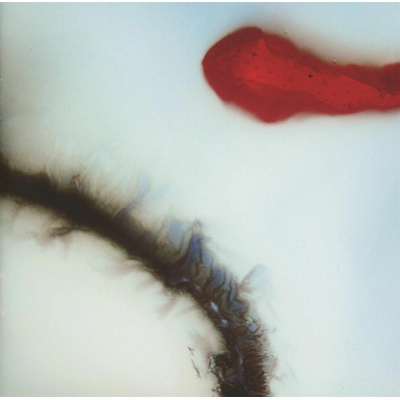 STUBBORN HEART: STUBBORN HEART CD