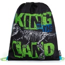Karton P+P Premium Dinosaurus