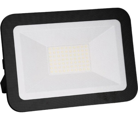 Nedes LF2024