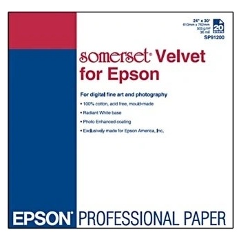 Epson C13S041699