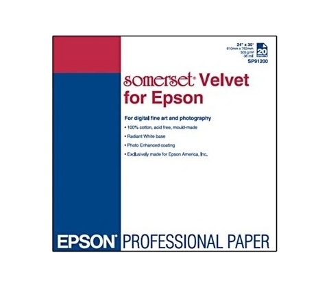 Epson C13S041699