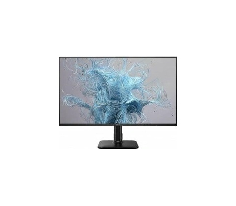 Philips 24E2N1110
