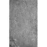 DIMEX ART Флизелинов фототапет бетон 150 x 250 см