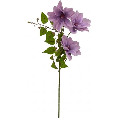 KS CLEMATIS BLEDO FIALOVÝ 66CM
