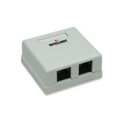 Intellinet 210898