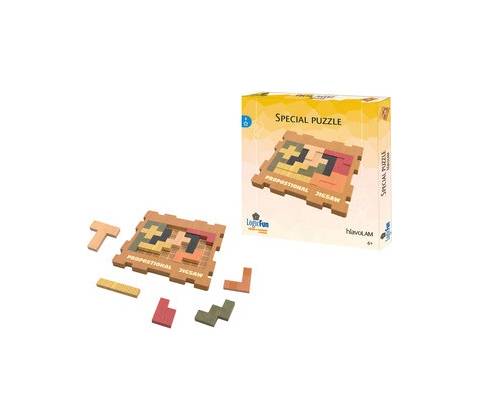 LogicFun Special puzzle