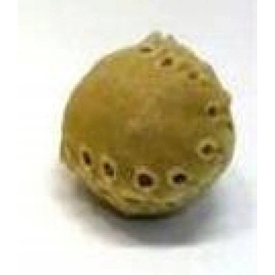 Salač Pamlsok Míček z kože 5 cm