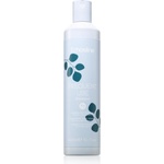 Echosline Frequent Shampoo шампоан за ежедневно миене на коса 300ml