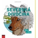 Severská divočina