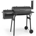 HECHT Sentinel Minor
