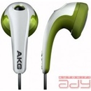 AKG K 313