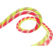 Beal Legend 8,3mm 60m